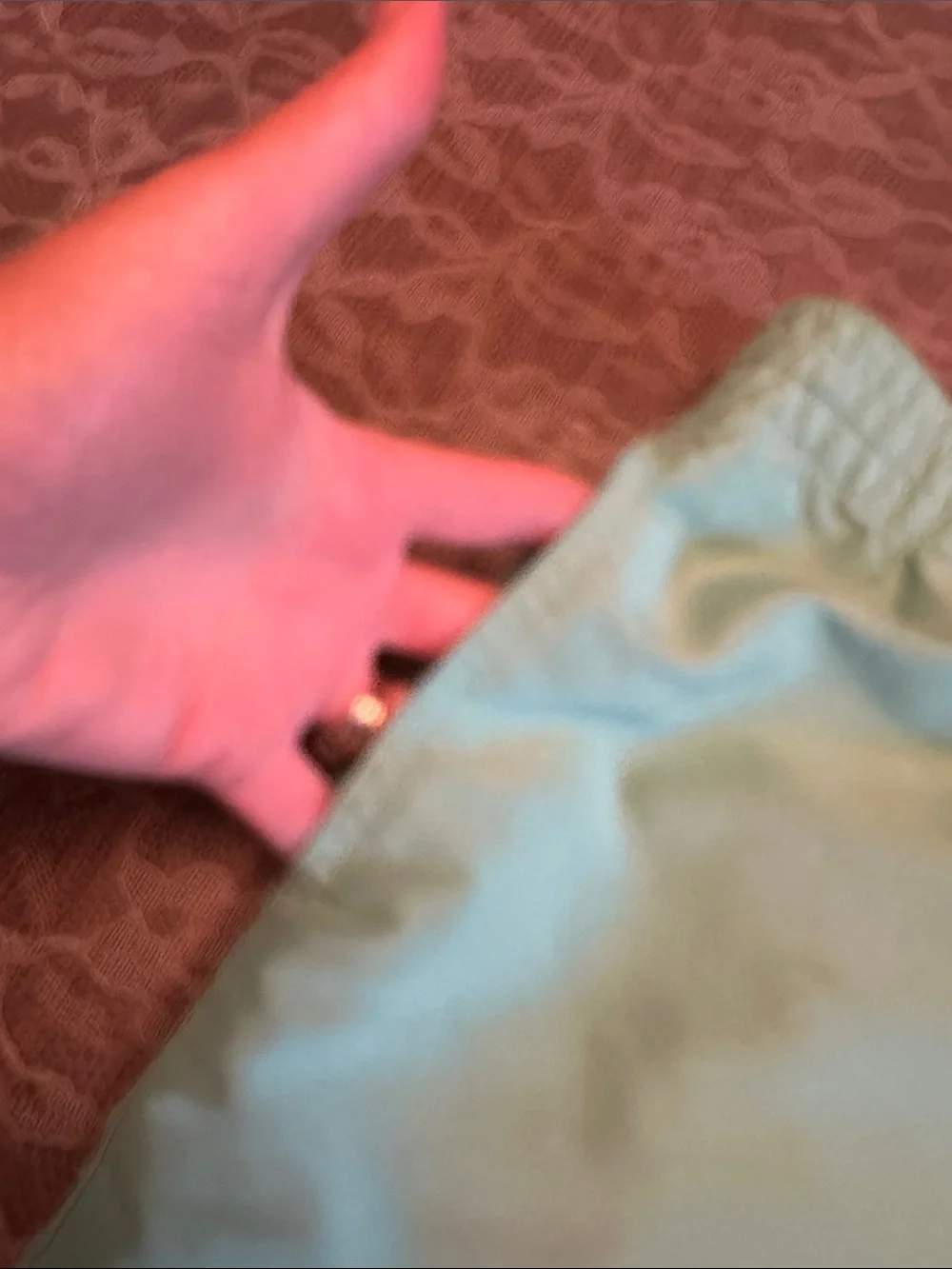 chubbies mens Mint Green swimming trunks